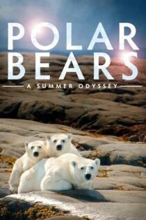 مستند Polar Bears: A Summer Odyssey 2012