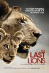 مستند The Last Lions 2011