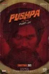 فیلم پوشپا: ظهور – قسمت ۱ Pushpa: The Rise – Part 1 2021