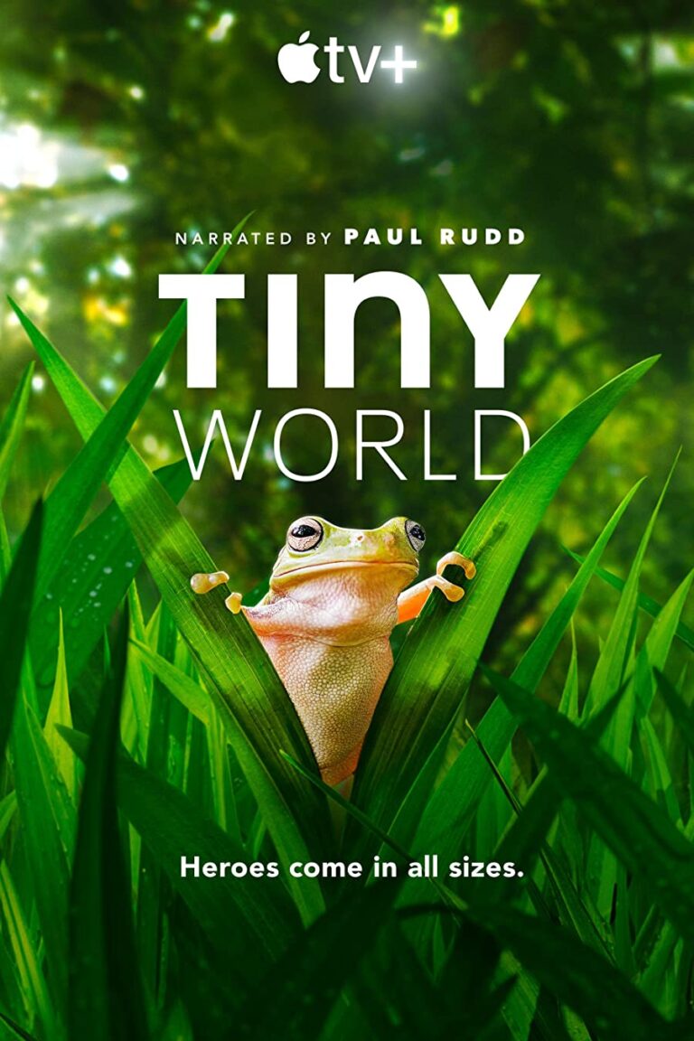 دانلود سریال دنیای کوچک Tiny World