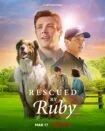 فیلم نجات یافته توسط روبی Rescued by Ruby 2022