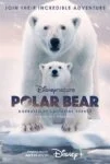 مستند خرس قطبی Polar Bear 2022