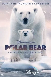 مستند خرس قطبی Polar Bear 2022