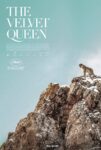 دانلود فیلم ملکه مخملی The Velvet Queen 2021