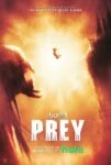 فیلم Prey 2022 طعمه فیلم Prey 2022 طعمه