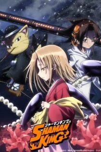 سریال شاه شمن Shaman King
