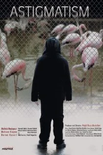 فیلم آستیگمات Astigmatism 2018