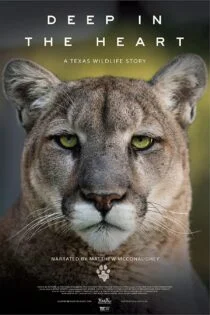 فیلم در اعماق قلب: داستانی از حیات وحش تگزاس Deep in the Heart: A Texas Wildlife Story 2022 فیلم در اعماق قلب: داستانی از حیات وحش تگزاس Deep in the Heart: A Texas Wildlife Story 2022