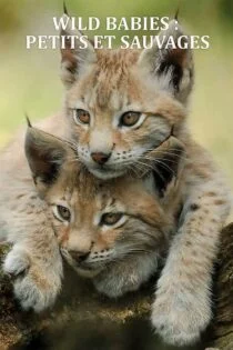 سریال بچه های حیات وحش Wild Babies