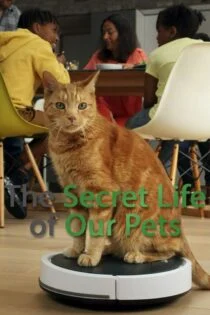 سریال زندگی‌های پنهان حیوانات خانگی ما The Secret Life of Our Pets