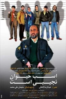 فیلم اسب حیوان نجیبی است Absolutely Tame Is a Horse 2011