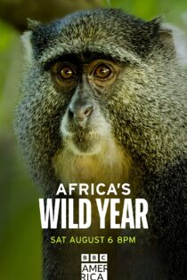 دانلود سریال سال حیات وحش آفریقا Africa’s Wild Year