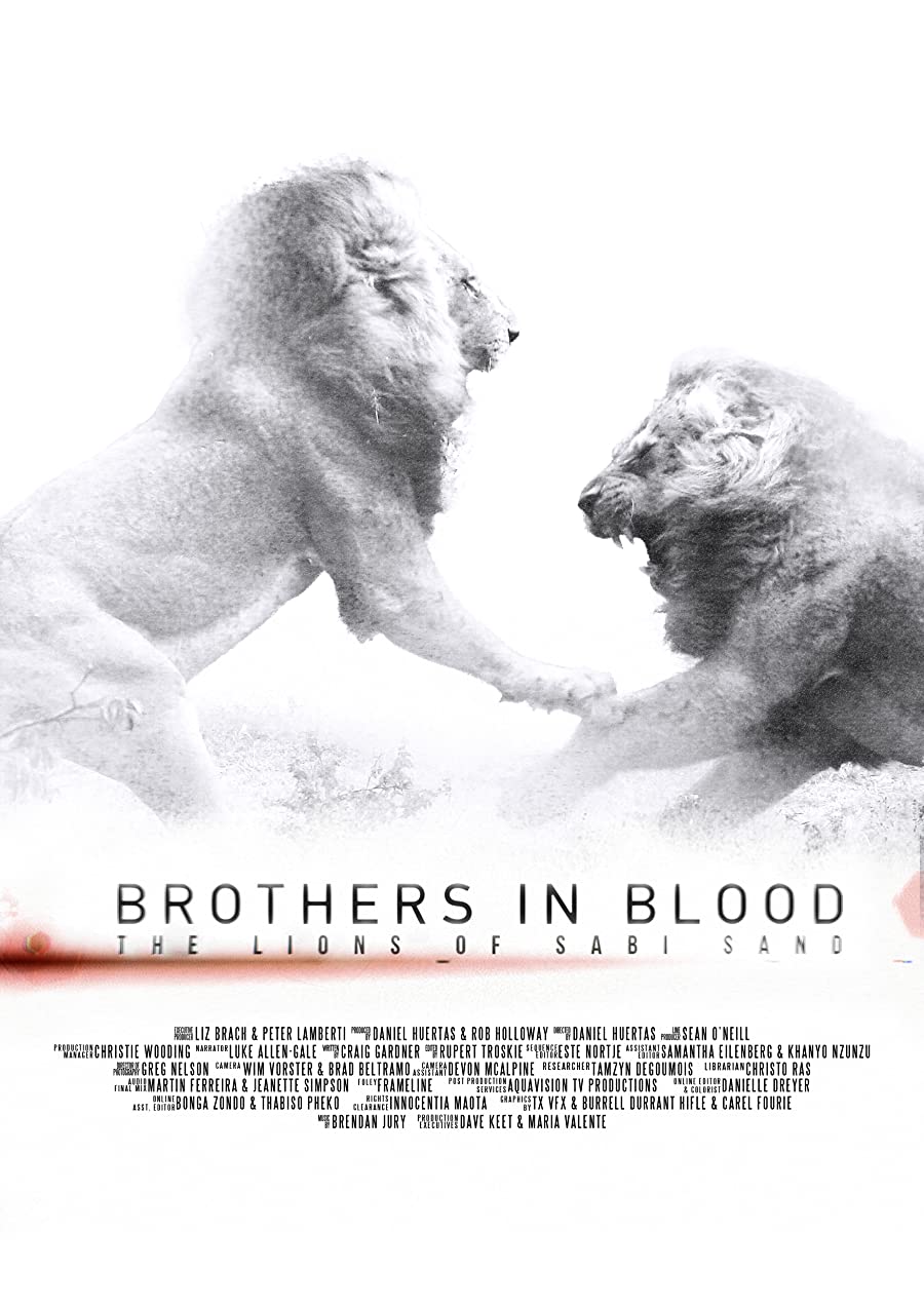 دانلود فیلم برادران تنی: شیر‌های سابی سند Brothers in Blood: The Lions of Sabi Sand 2015