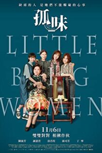 دانلود فیلم زنان بزرگ کوچک Little Big Women 2020