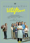 فیلم گل وحشی Wildflower 2022