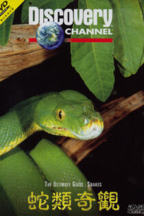 دانلود مستند مارها The Ultimate Guide: Snakes 1997