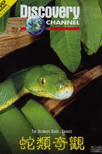 مستند مارها The Ultimate Guide: Snakes 1997