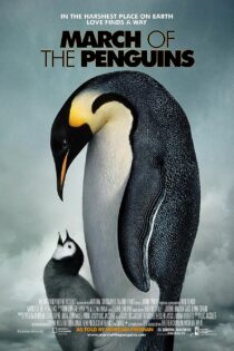 دانلود فیلم رژه پنگوئن‌ها March of the Penguins 2005