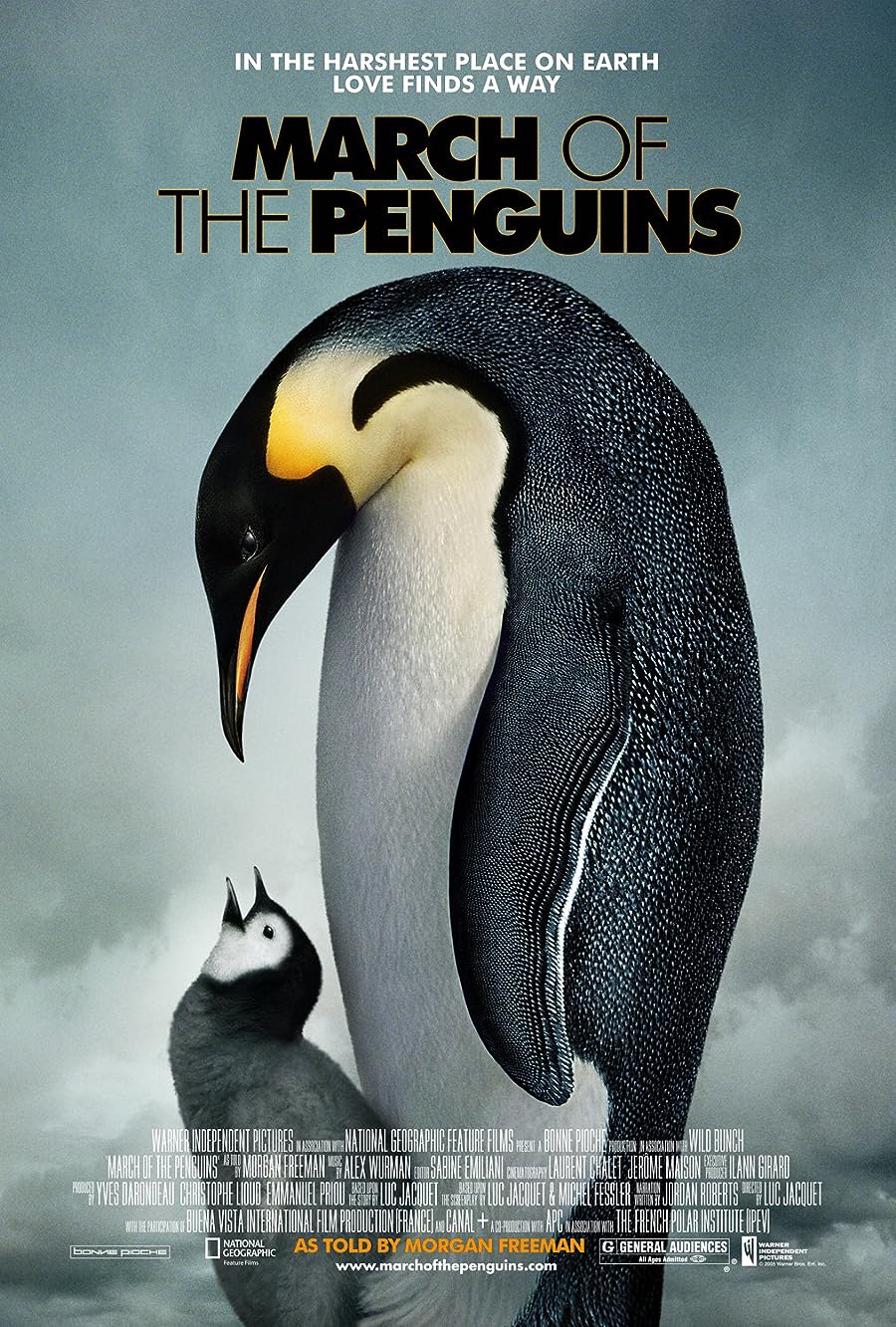 دانلود فیلم رژه پنگوئن‌ها March of the Penguins 2005