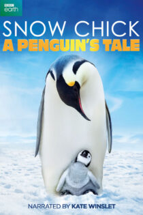 دانلود فیلم جوجه برفی : داستان یک پنگوئن Snow Chick: A Penguin’s Tale 2015