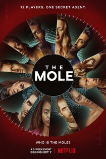 دانلود سریال مامور مخفی The Mole