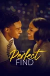 فیلم کشف بی عیب و نقص The Perfect Find 2023