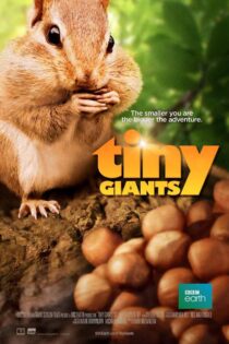 دانلود مستند غول های کوچک سه بعدی Tiny Giants 3D 2014