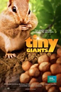 مستند غول های کوچک سه بعدی Tiny Giants 3D 2014