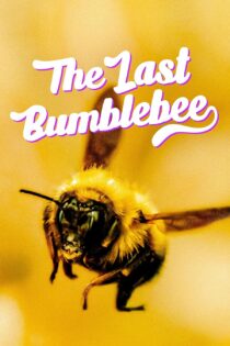 دانلود فیلم آخرین زنبور عسل The Last Bumblebee 2024