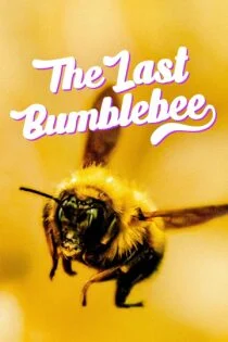 فیلم آخرین زنبور عسل The Last Bumblebee 2024 فیلم آخرین زنبور عسل The Last Bumblebee 2024