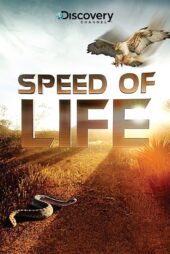 دانلود سریال شکار و بقا Speed of Life