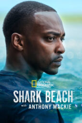 دانلود فیلم ساحل کوسه با آنتونی مکی Shark Beach with Anthony Mackie 2024