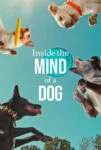 فیلم درون ذهن یک سگ Inside the Mind of a Dog 2024