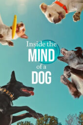 دانلود فیلم درون ذهن یک سگ Inside the Mind of a Dog 2024