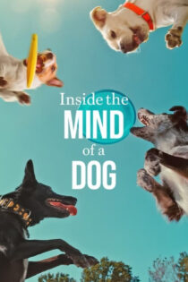 دانلود فیلم درون ذهن یک سگ Inside the Mind of a Dog 2024