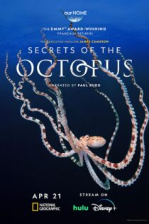 دانلود سریال رازهای اختاپوس Secrets of the Octopus