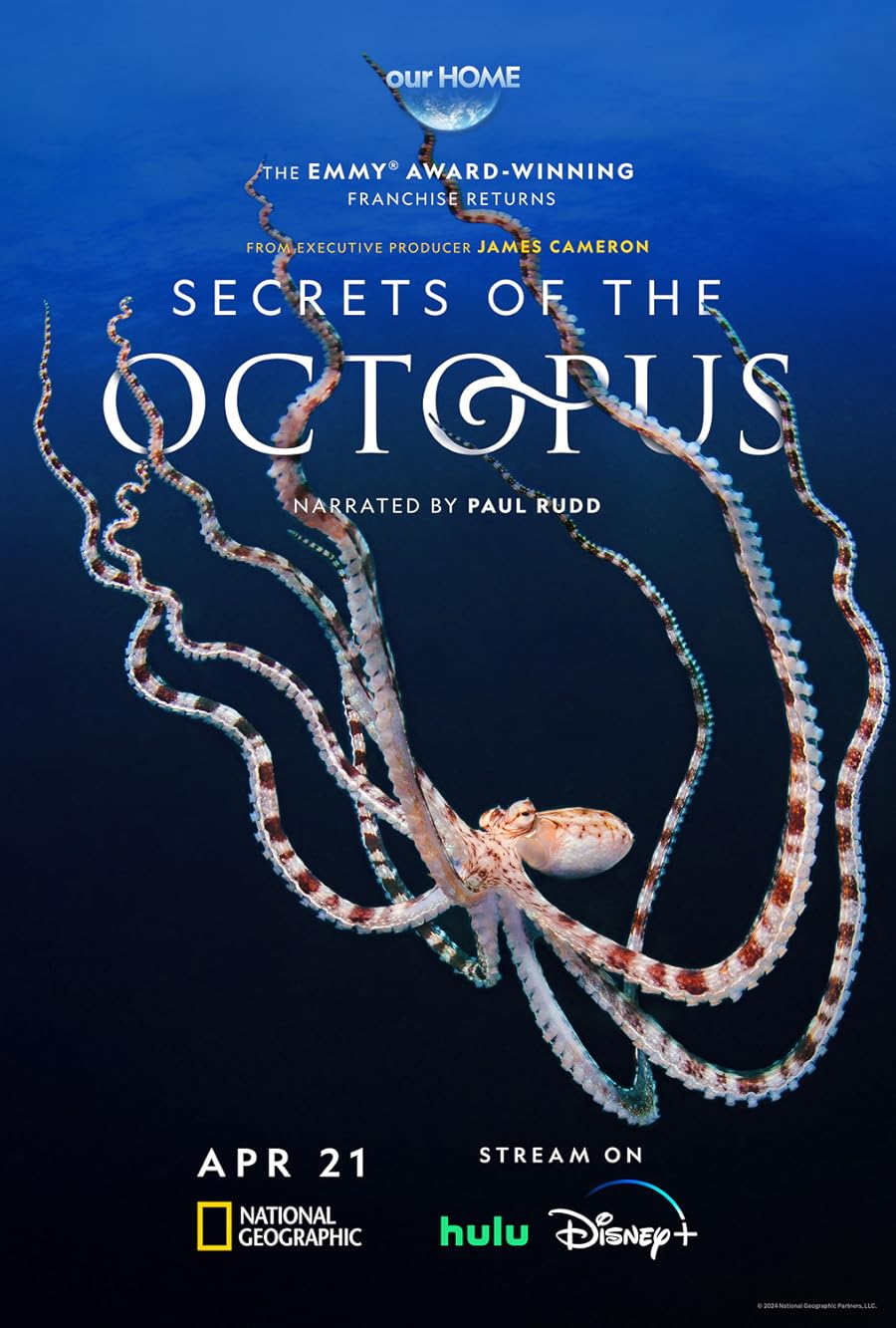 دانلود سریال رازهای اختاپوس Secrets of the Octopus