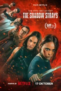 فیلم سایه های ولگرد The Shadow Strays 2024
