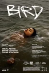 فیلم Bird 2024 پرنده فیلم Bird 2024 پرنده