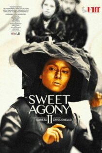 دانلود فیلم ایرانی Sweet Agony 2 2019 مصائب شیرین ۲