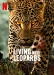 فیلم Living with Leopards 2024 زیبای زندگی با پلنگ ها
