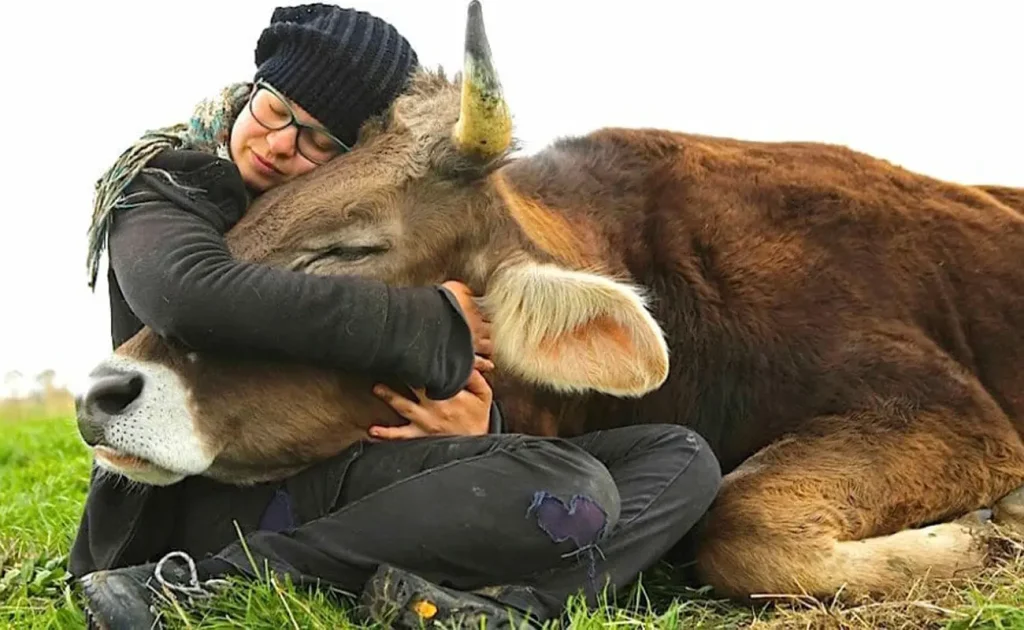 مزایای رژیم وگان (Vegan Diet): نگاهی علمی به سلامت، اخلاق و محیط زیست - رسانه اسکای مووی مزایای رژیم وگان (Vegan Diet): نگاهی علمی به سلامت، اخلاق و محیط زیست