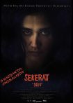 فیلم Sekerat Son 2016 آخرین نقاشی