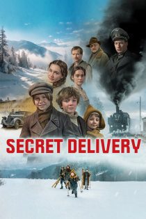 فیلم Secret Delivery 2025 تحویل محرمانه